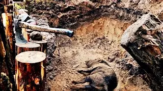 КАБАН мог помочь строить БАНЮ в лесу  | работаю под дождём | бушкрафт | bushcraft.