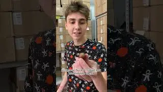 Искусство из орехов