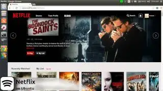 Netflix on Ubuntu!