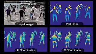 DensePose: Dense Human Pose Estimation In The Wild  (CVPR 2018 Oral)