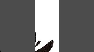 Samsung j4 plus j415f imei repair