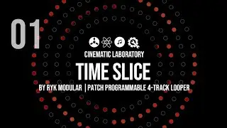 Time Slice by Ryk Modular - Four Track Modular Digital Tape Machine/Looper with click track :)
