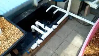Aquaponics system