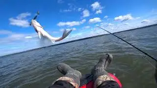 Судак на Берди.  Джиг.  Последний день отпуска