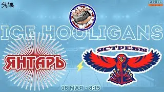 Янтарь, г.Москва vs Ястребы, г.Москва