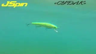 jspin судак