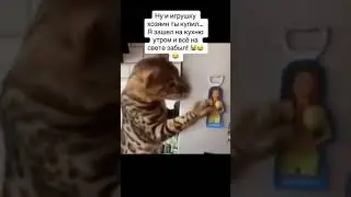 23 августа 2023 г.