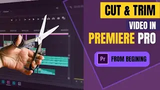 How to Cut and Trim Videos | Adobe Premiere Pro Tutorial (For Beginners)