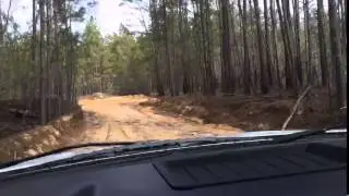 McCrady to Ft. Jackson back road