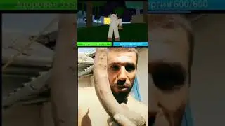 когда выбил Будду в Blox Fruits