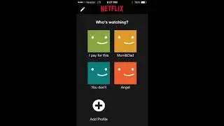 BIN NETFLIX VIA PAYPAL