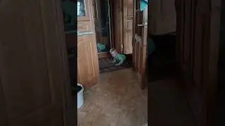 #2года