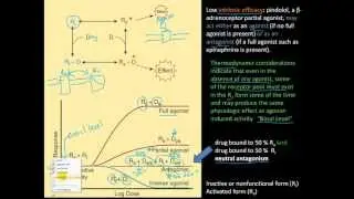 Pharm2 - ED50, LD50, Therapeutic index, margin of safety, partial & full agonist
