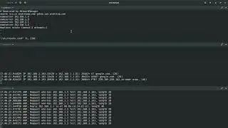 DNS ( redhat)