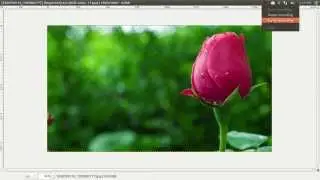 How to Open an Image From Internet into GIMP Image Editor ?.