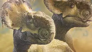 Katrina Prislac - Science Project - Pachyrhinosaurus