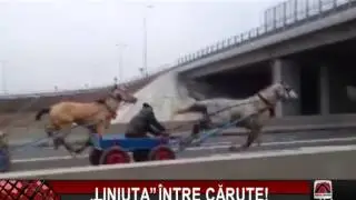 „LINIUŢA