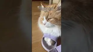 обожаю когда он так делает