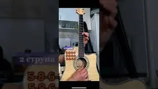 новый мерин на гитаре для начинающих на одной струне