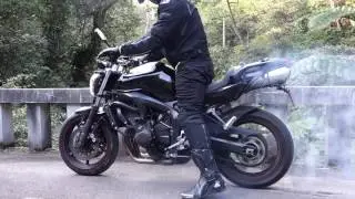 Burnout on a bridge