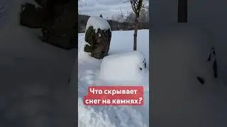 Что скрывает снег на камнях?...