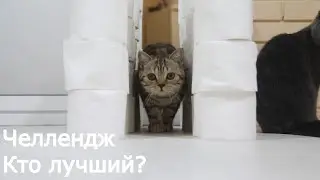 Challenge. Passage between the walls.