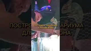 ПОСТРОЙКА ТЕРРАРИУМА ДЛЯ ХАМЕЛЕОНА 🪚🦎 #хамелеон террариум