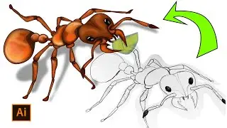 How to Create Vector from Sketch in Adobe Illustrator. Sketch to Vector Illustrator. Freehand Sketch