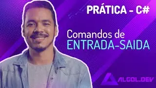 Comandos de entrada-saida (Prática em C#)