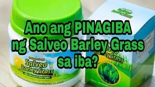Ano ang pinagkaiba ng Salveo Barley Grass sa ibang barley grass