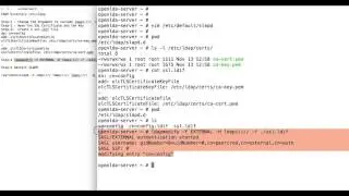 ldaps openldap ssl configuration