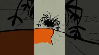 Predator bedbug 😂 