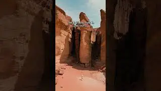 Lost on Earth, found in Timna Park: these desert these views are straight-up other wordly👽🌵