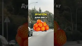Так дорого или дешево? 😊#рек #топ #жиза