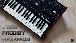 Moog Prodigy Analog Synthesizer (1979) The PURE Sound!