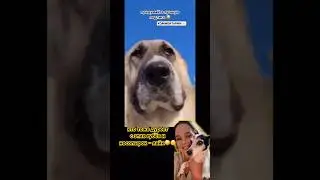 КТО НЕ СМОГ УСТОЯТЬ?😍
