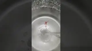 Bulaşık Makinesi Deterjanının Bu İşe Yaradığını Biliyorum muydunuz?