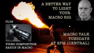 Macro Lighting DIY & Video Composition - Macro Talk #77 -  A. Walls Photography, Jan 29  2024