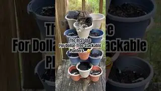 The BEST Use For Dollar Tree Stackable Planters…🤣#gardening #dollartreestackableplanters #animals