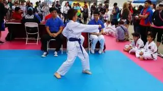 Poomsae Competition