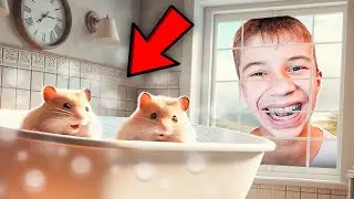 A NOVA Mansão das HAMSTERS *banheira de hidro?