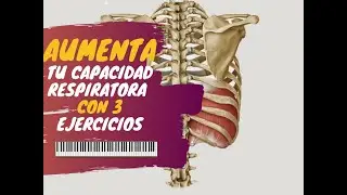 Como Aumentar La Capacidad Respiratoria Al Cantar? | 3 ejercicios | CLASES DE CANTO