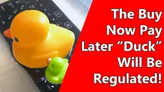 The Buy Now Pay Later “Duck” Will Be Regulated!