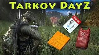 This Tarkov Mod Is Nuts! - DayZ