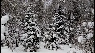 Зимний Алтай во всей красе