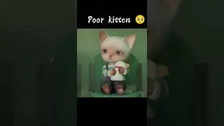 The sad life of a kitten 😿😭💔 // song - "Into Your Arms"// #shorts #sad