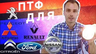 Standard fog lights with halogen lamp. Ford fog lights, Renault fog lights and others