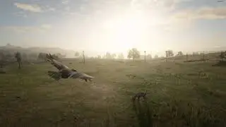 Fly with a Hawk - RDR2