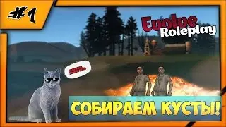 Настальгия SAMP RP в 2к17 - Собираем кусты! (Evolve Rp) [#1]
