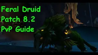 Feral Druid BFA Patch 8.2 PvP Guide